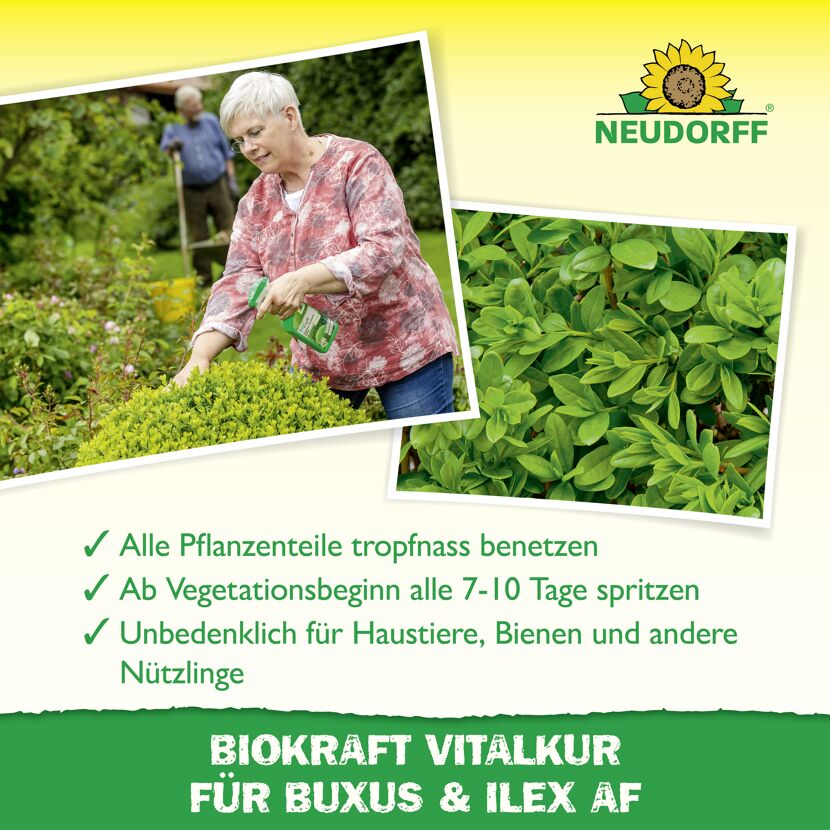 Vitalkur 'BioKraft' für Buxus 500 ml