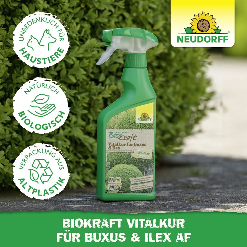 Vitalkur 'BioKraft' für Buxus 500 ml