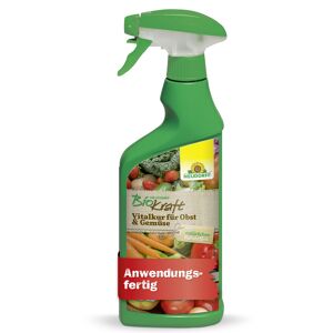 Biokraft Vitalkur für Obst und Gemüse 500 ml