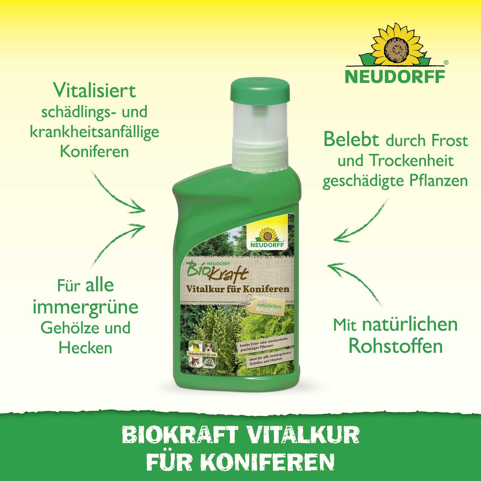 BioKraft Vitalkur für Koniferen 300 ml