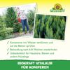 BioKraft Vitalkur für Koniferen 300 ml