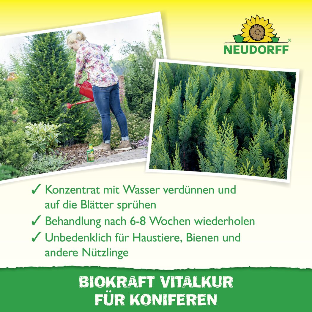 BioKraft Vitalkur für Koniferen 300 ml