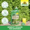 BioKraft Vitalkur für Koniferen 300 ml