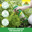 Vitalkur "BioKraft AF" für Kräuter 500 ml