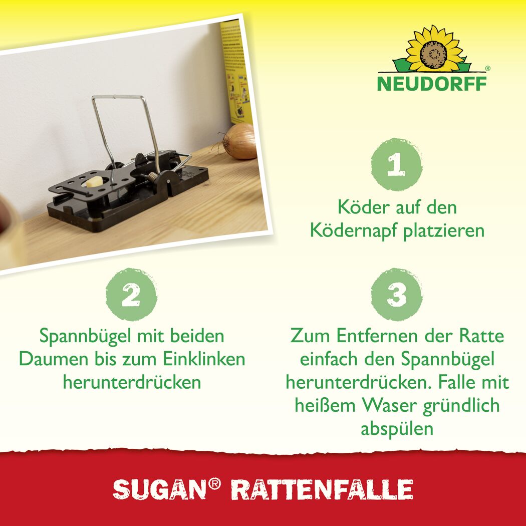 Rattenfalle 'Sugan'