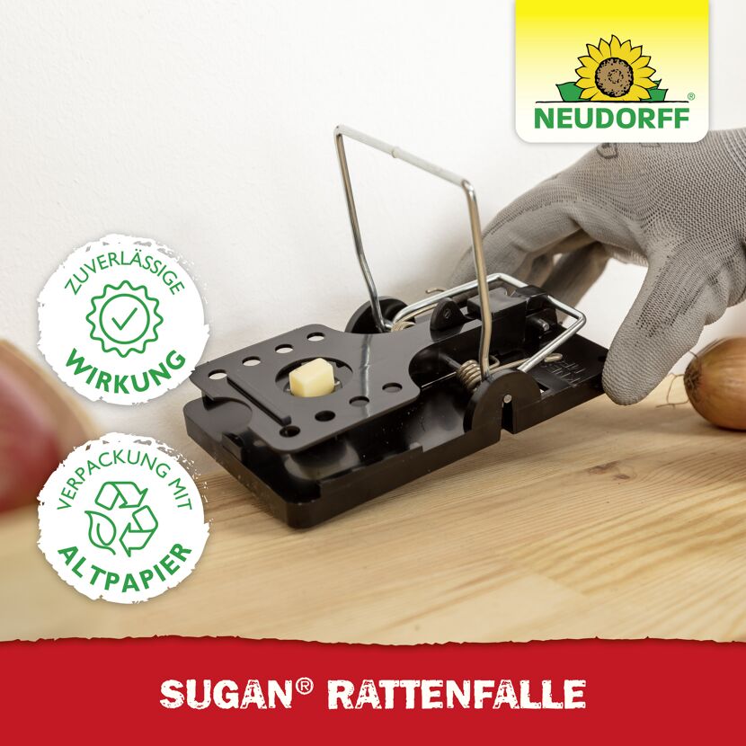 Rattenfalle 'Sugan'