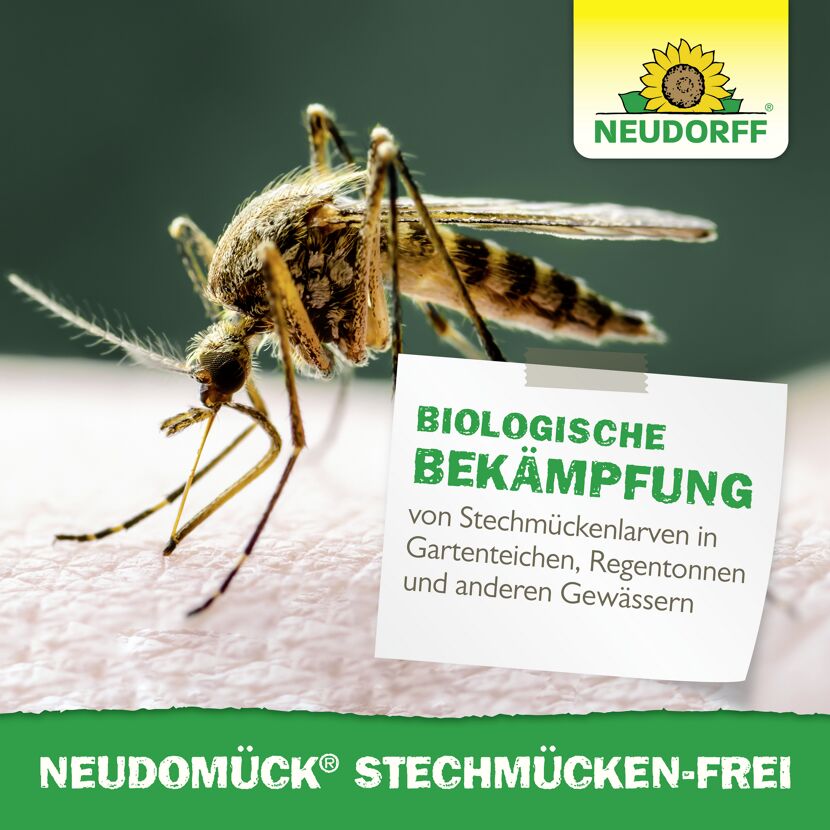 Neudomück Stechmückenfrei 10 Stück