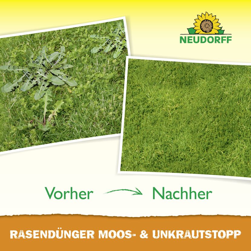 Rasendünger 'Moos- und Unkrautstopp' 10 kg