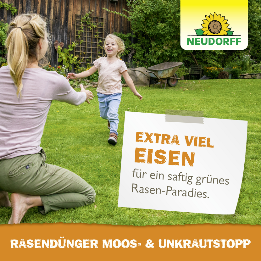Rasendünger 'Moos- und Unkrautstopp' 10 kg