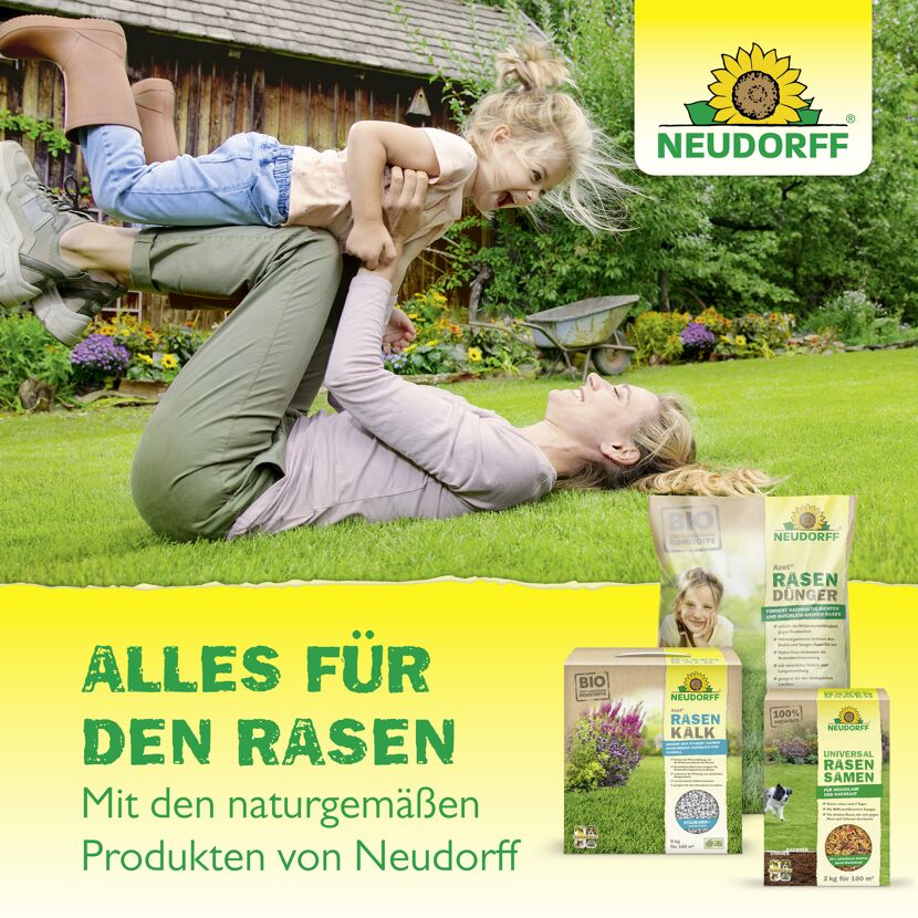 Rasendünger 'Moos- und Unkrautstopp' 10 kg