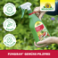 Fungisan Gemüse-Pilzfrei 1 l