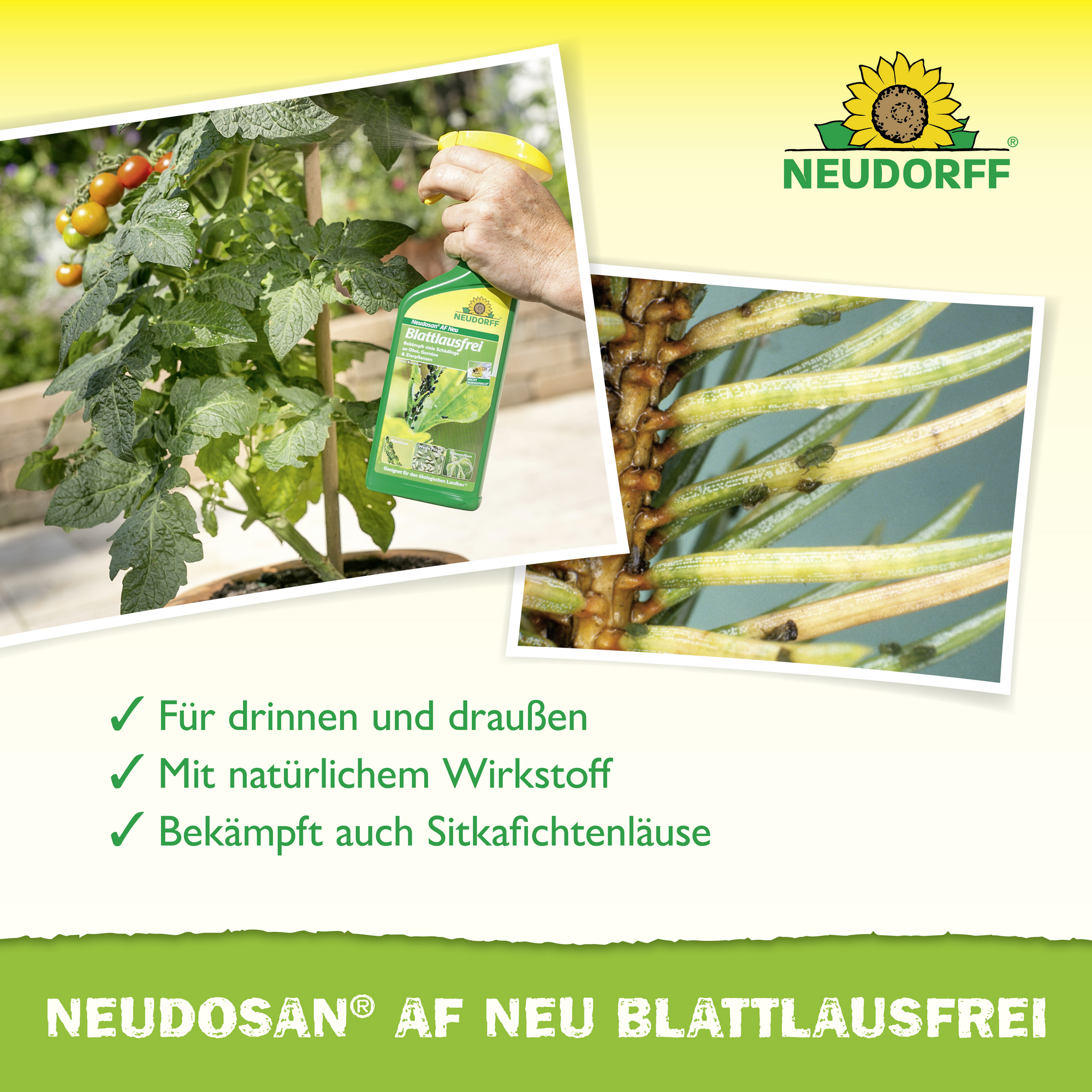 Neudosan AF Blattlausfrei 500 ml
