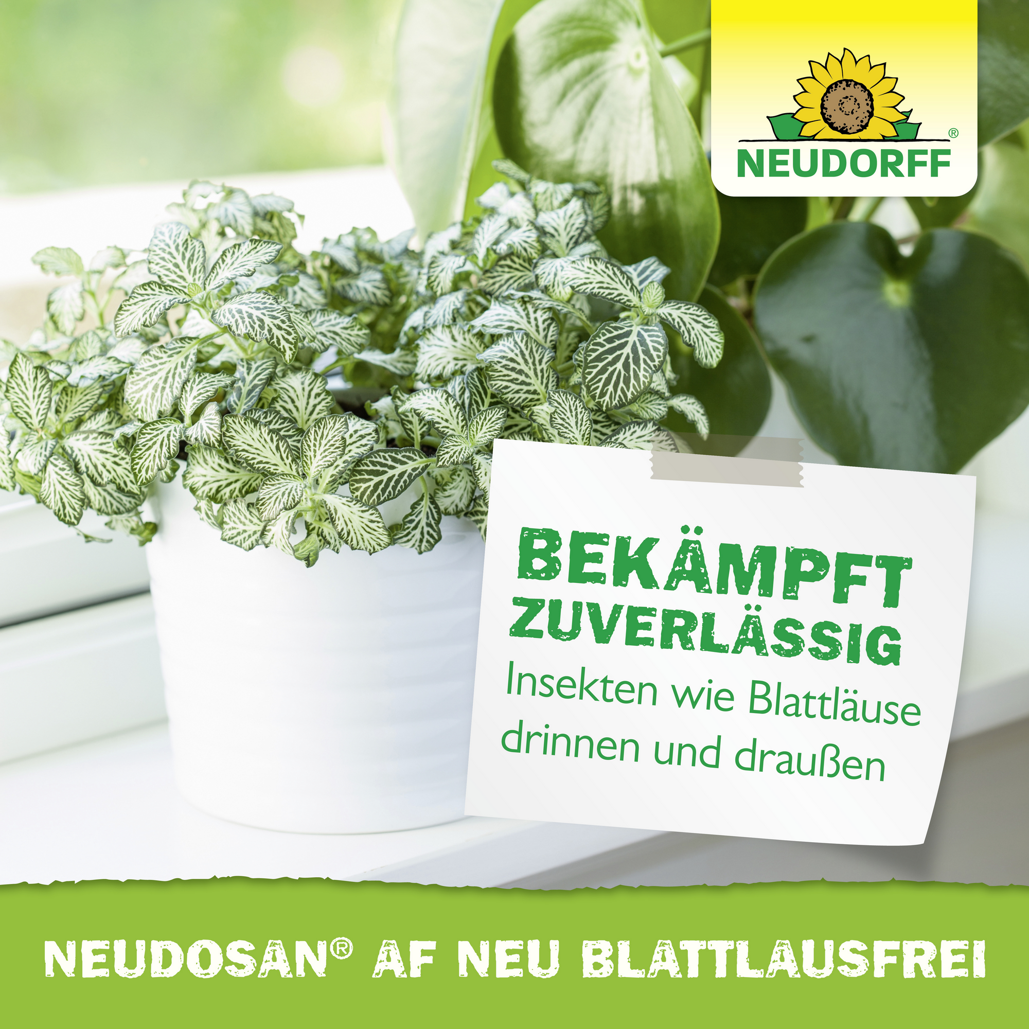 Neudosan AF Blattlausfrei 500 ml