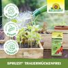 Spruzit Trauermückenfrei 30 ml