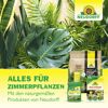 Spruzit Trauermückenfrei 30 ml