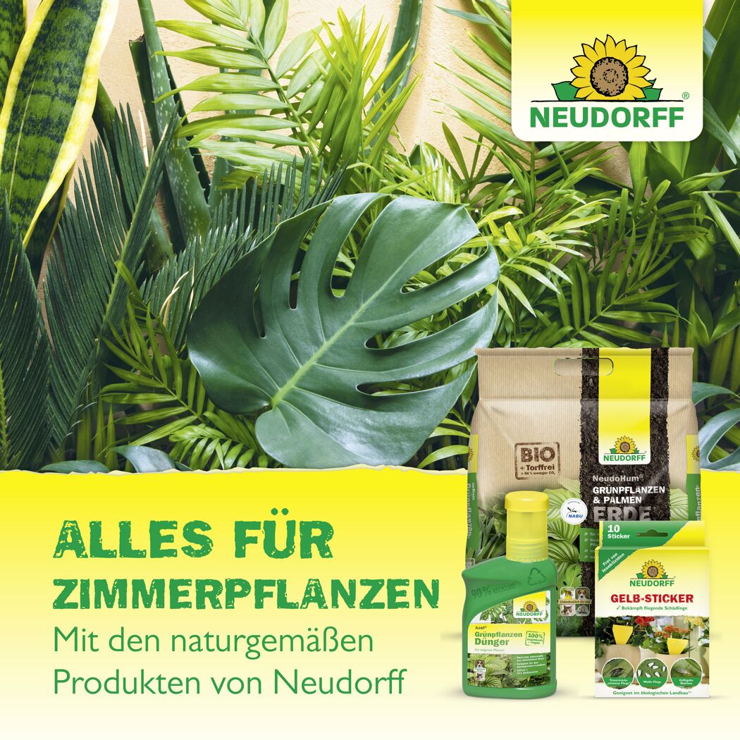 Spruzit Trauermückenfrei 30 ml