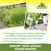 Spruzit Neem Gemüse-Schädlingsfrei 75 ml