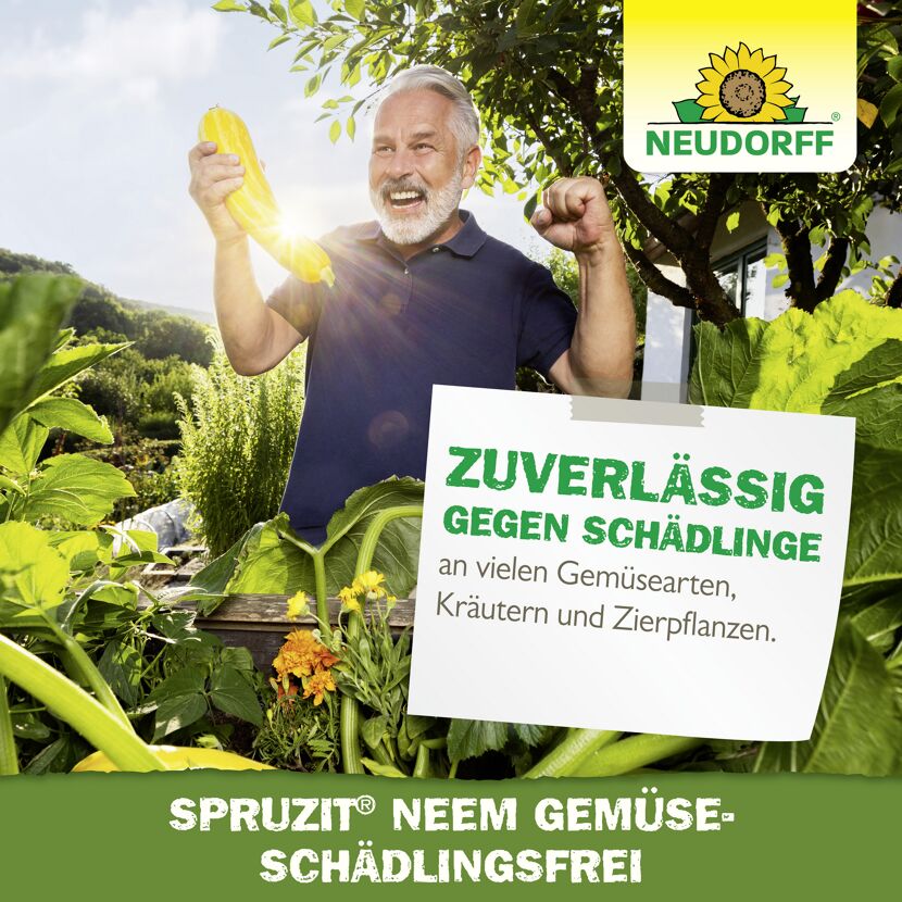 Spruzit Neem Gemüse-Schädlingsfrei 75 ml