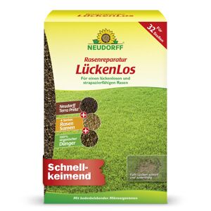Rasenreparatur 'LückenLos' 2,5 kg