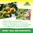 Neudo-Vital Obst-Spritzmittel 250 ml