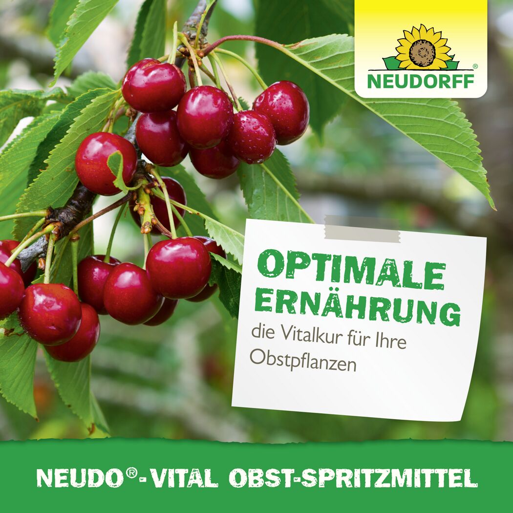 Neudo-Vital Obst-Spritzmittel 250 ml