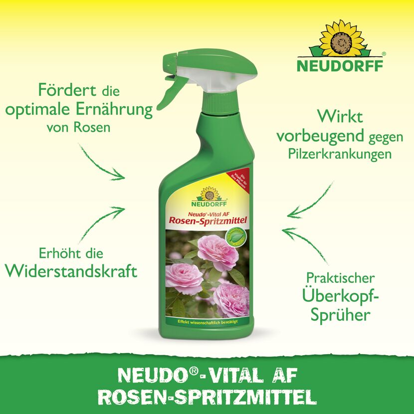 Neudo-Vital AF Rosen-Spritzmittel 500 ml