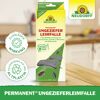 Permanent Ungeziefer Leimfalle 2 Stück