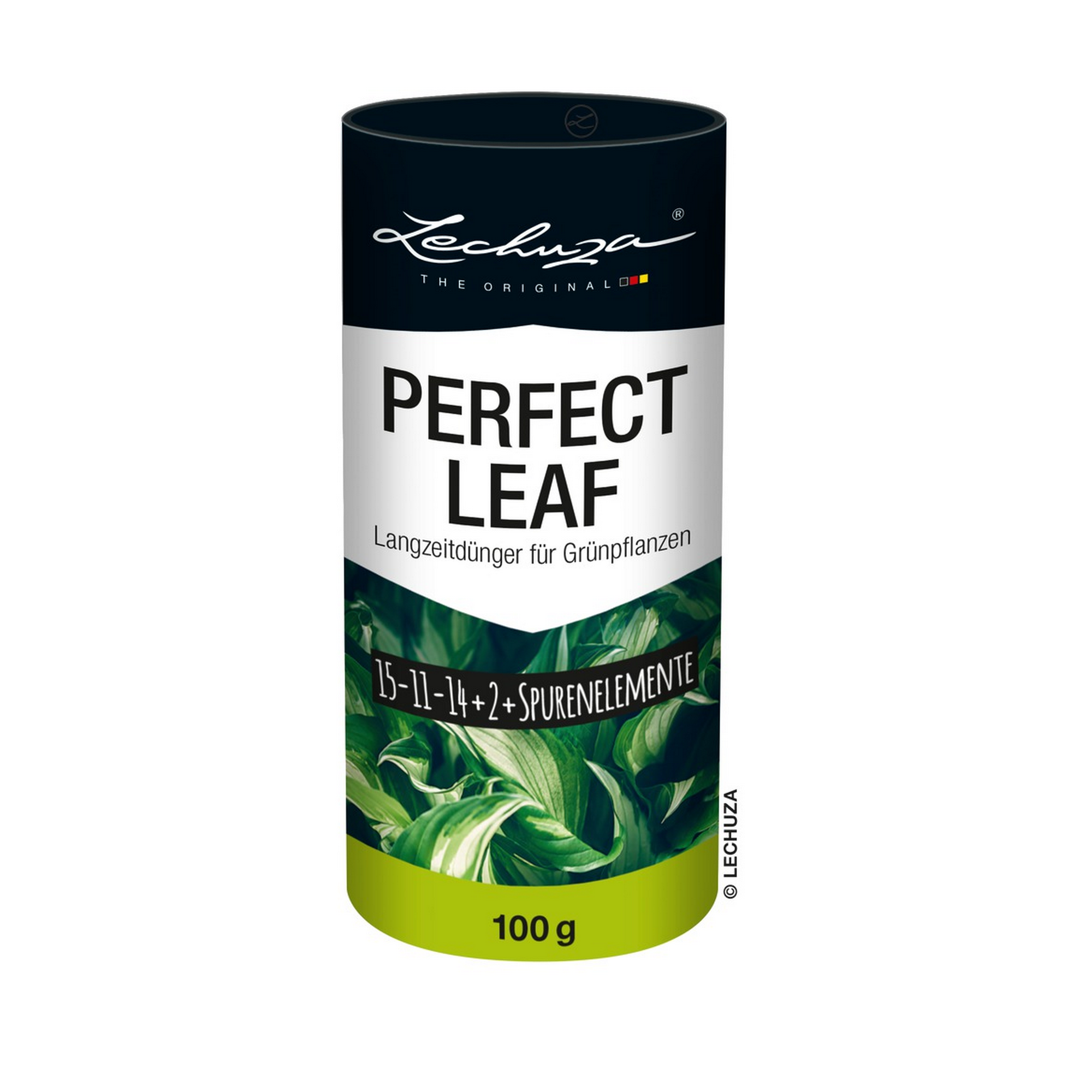Langzeitdünger für Grünpflanzen 'Perfect Leaf' 100 g + product picture