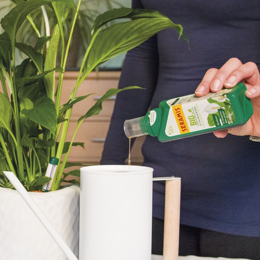 Bio-Vitalnahrung für Pflanzen und Kräuter 200 ml