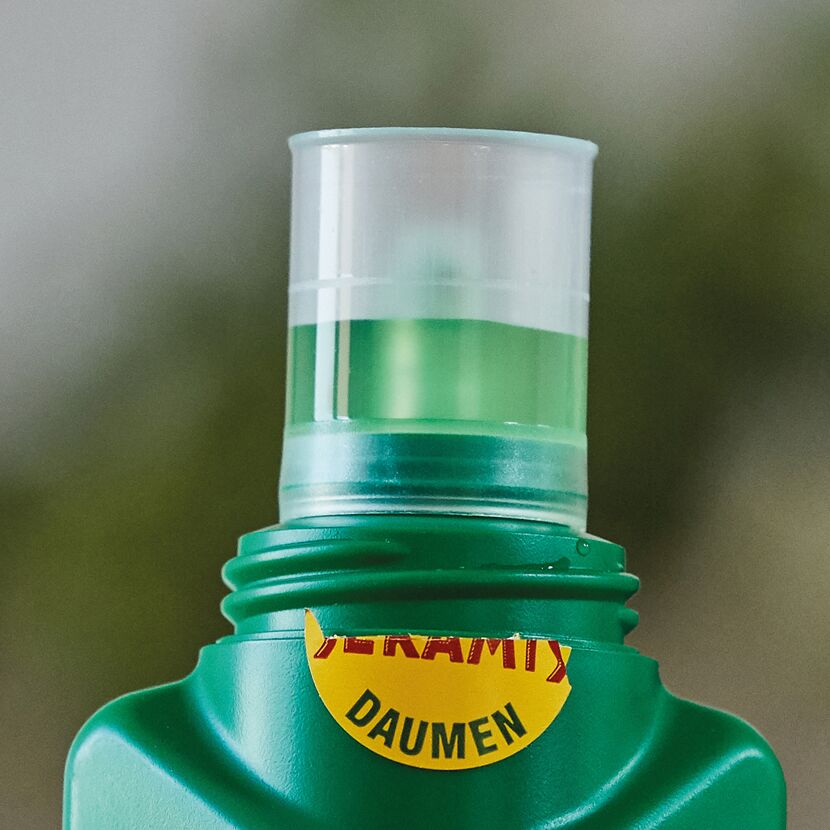 Seramis Vitalnahrung für Grünpflanzen, Flasche und Dosierkappe