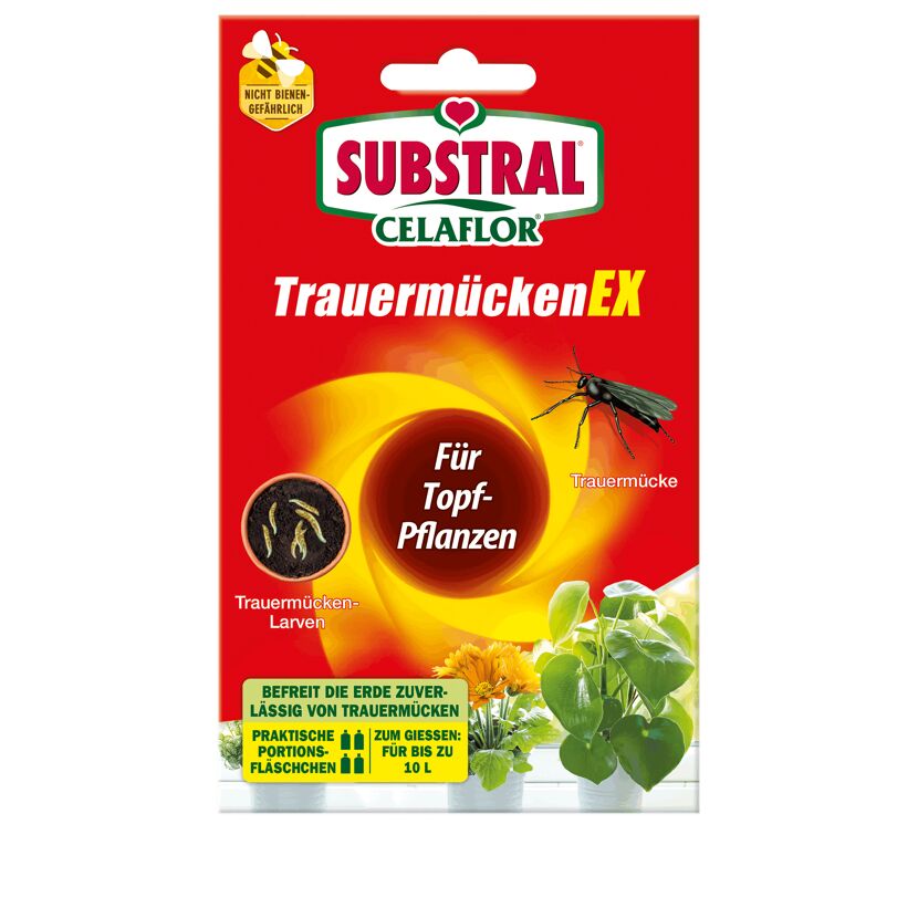 Substral Celaflor TrauermückenEX für Topfpflanzen