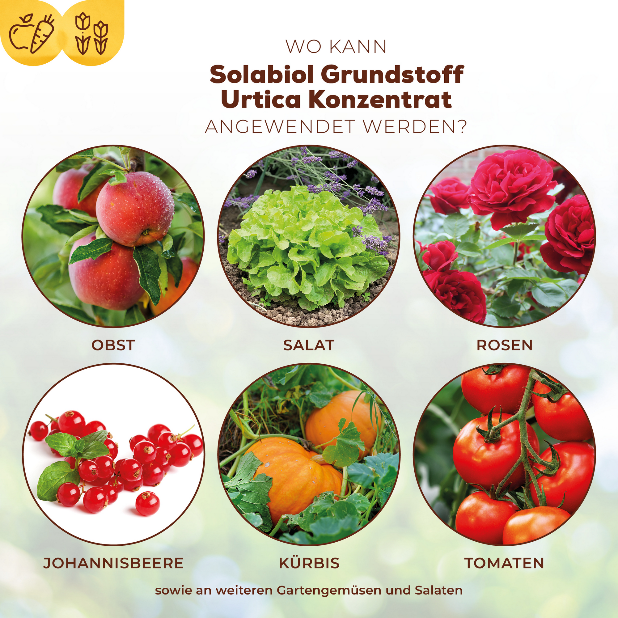 Grundstoff-Konzentrat mit Urtica 1 l