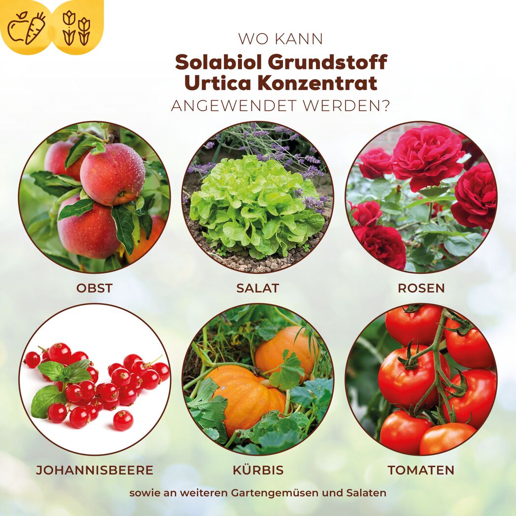 Grundstoff-Konzentrat mit Urtica 1 l