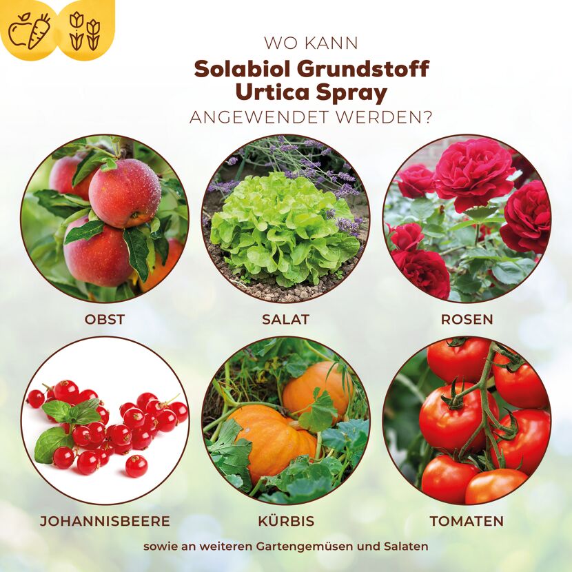 Grundstoff-Spray mit Urtica 1 l