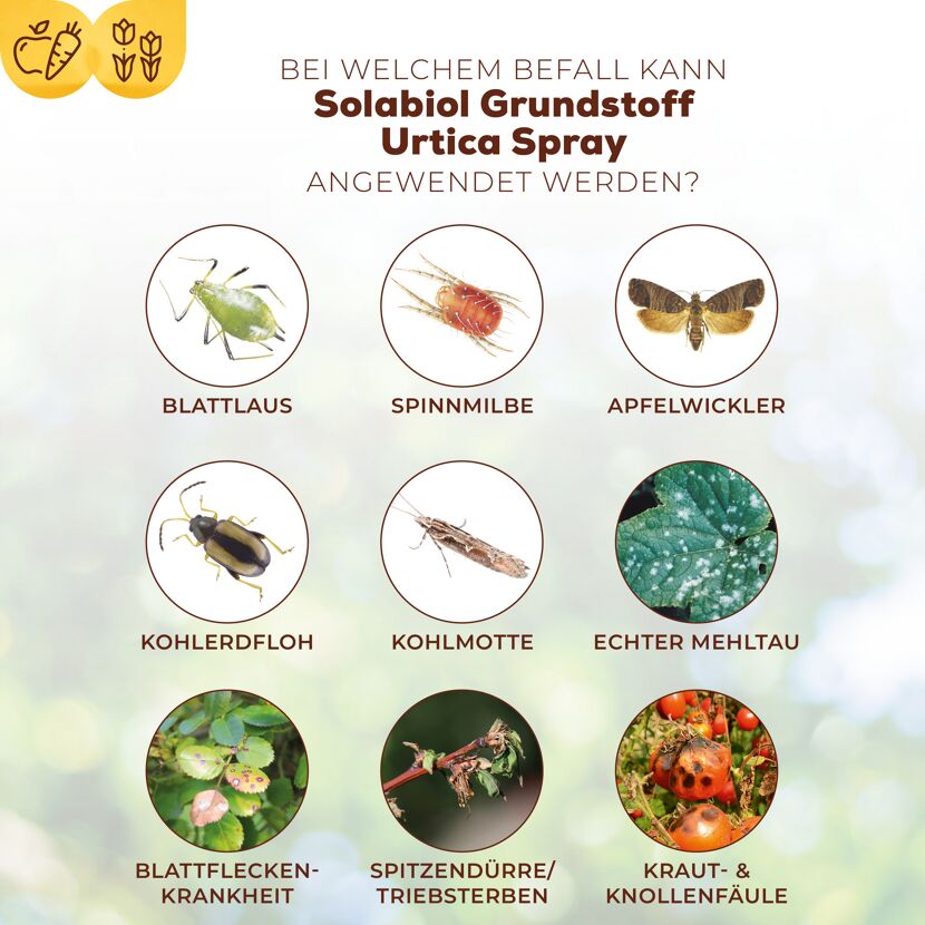 Grundstoff-Spray mit Urtica 1 l