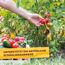 Grundstoff-Spray mit Urtica 1 l