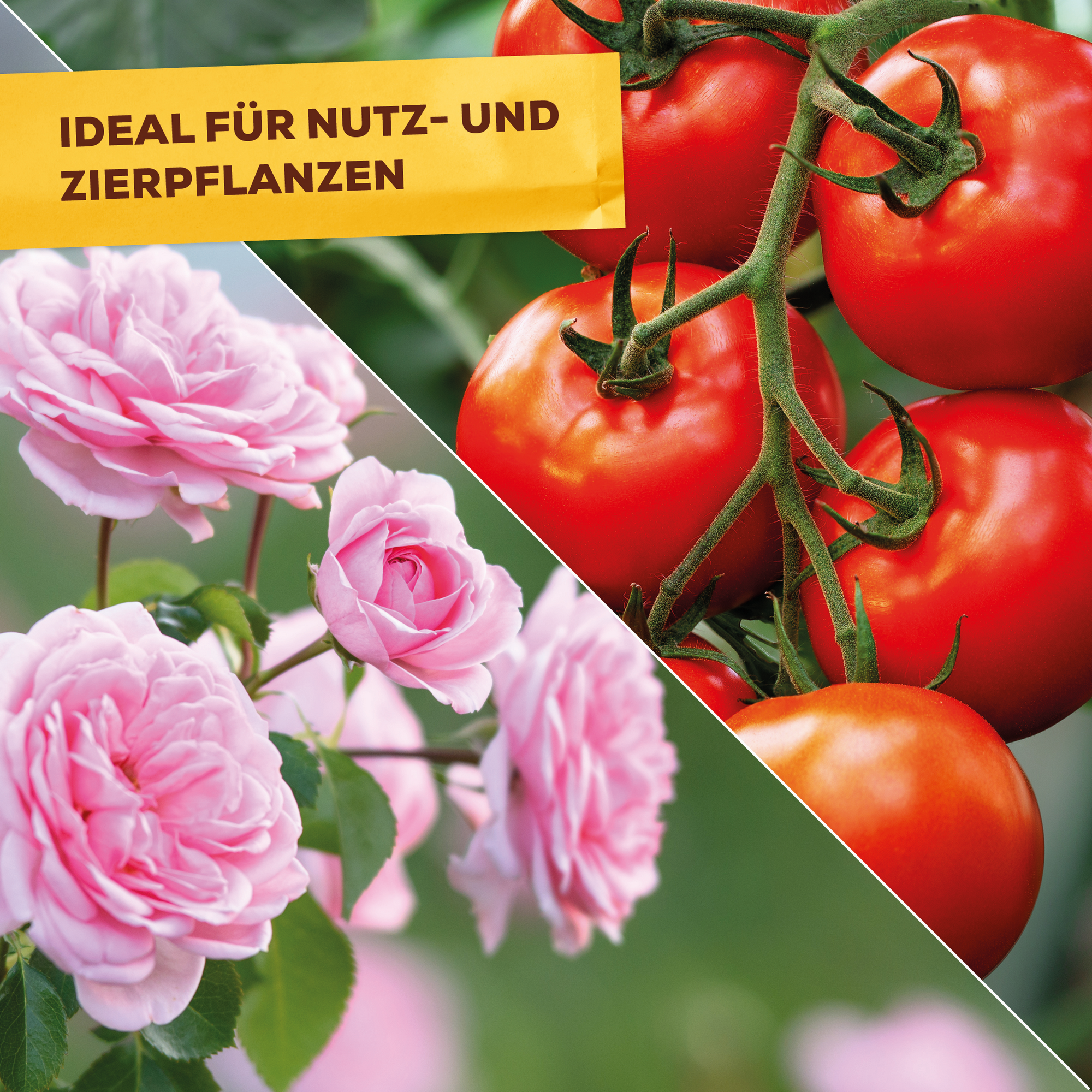 Grundstoff-Spray mit Urtica 1 l