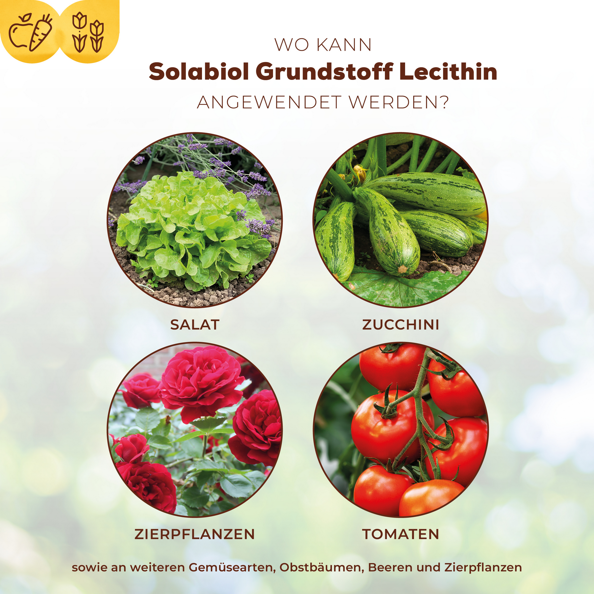 Grundstoff-Konzentrat mit Lecithin 800 ml