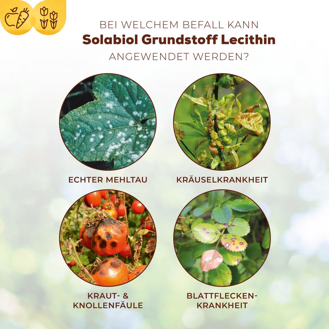 Grundstoff-Konzentrat mit Lecithin 800 ml