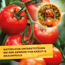 Grundstoff-Konzentrat mit Lecithin 800 ml