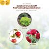 Grundstoff-Pulver Natriumhydrogencarbonat 350 g