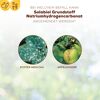 Grundstoff-Pulver Natriumhydrogencarbonat 350 g
