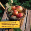 Grundstoff-Pulver Natriumhydrogencarbonat 350 g