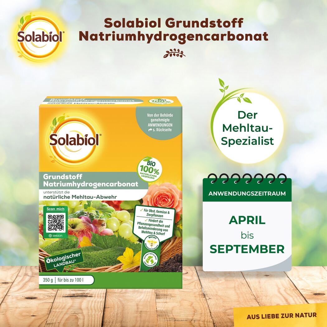 Grundstoff-Pulver Natriumhydrogencarbonat 350 g