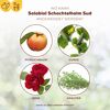 Pflanzenstärkung Schachtelhalm-Sud 1 l