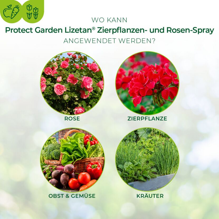 Zierpflanzen- & Rosenspray 'Lizetan' gegen Schädlinge 500 ml