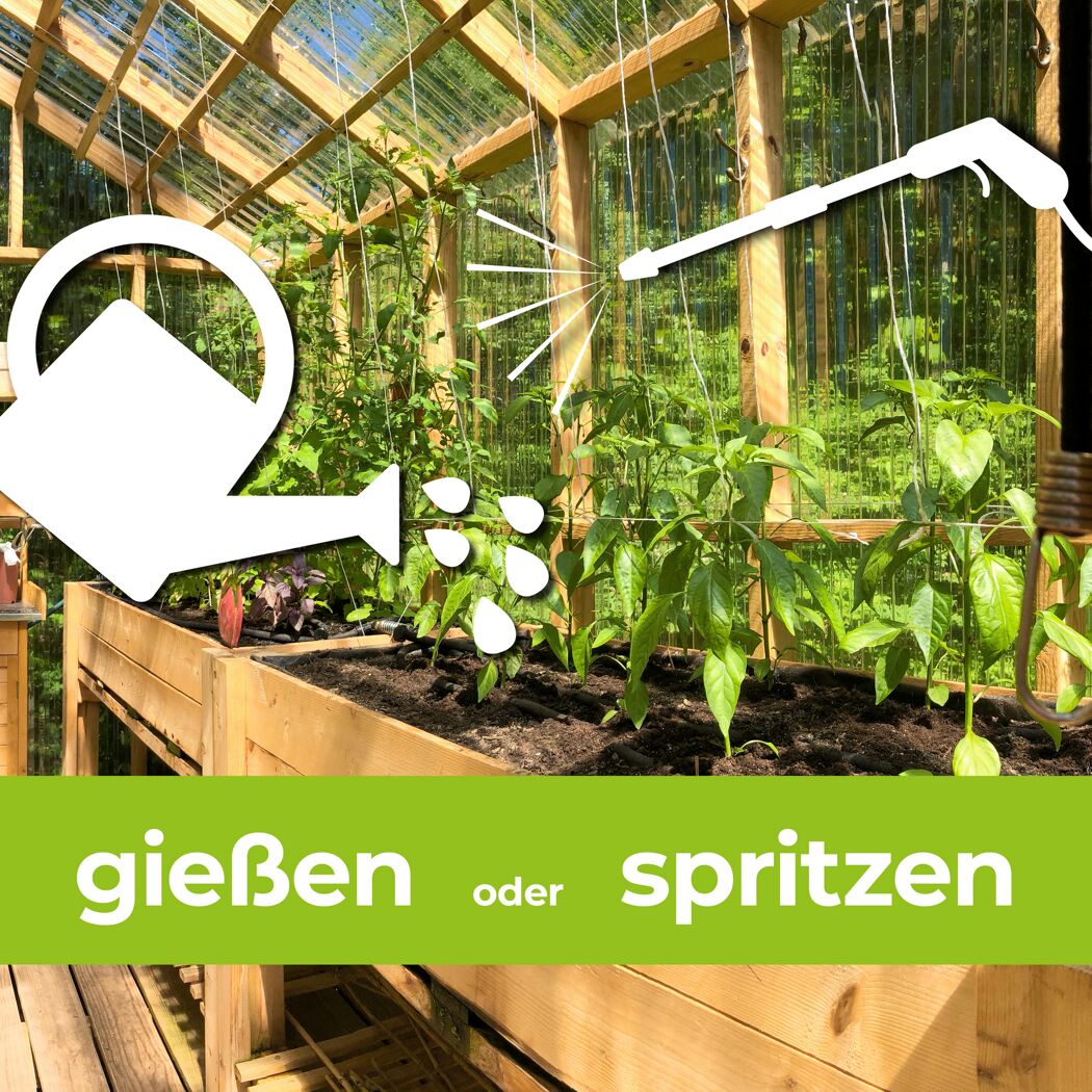 Pflanzen gießen mit Gießkanne oder Sprühflasche