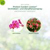 Anwendung von Zierpflanzenspray auf Orchideen und Rosen