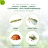 Protect Garden Lizetan: Anwendung bei Raupen, weißer Fliege, Schildläusen und Blattläusen
