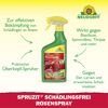 Rosenspray 'Spruzit' 750 ml
